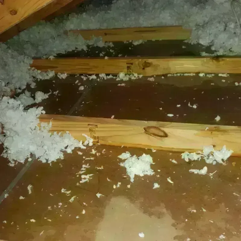 Attic Water Damage in Wild Peach Village, TX